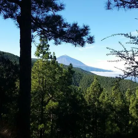 Homestay Con Bano Privado